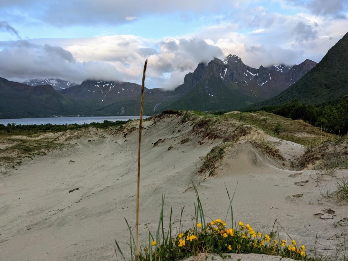 Вилла Sommarhus I Lofoten Санд Экстерьер фото